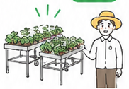 高設ベンチで楽に作業する農家のイラスト