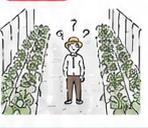 通路幅と株数の両立に悩む農家のイラスト