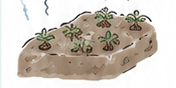 土づくりに悩む畑のイラスト